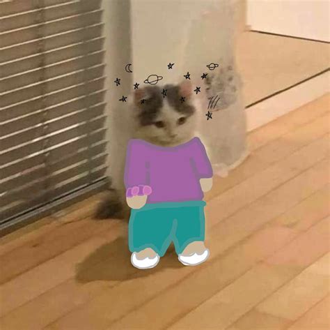 Cute Standing Cat Meme