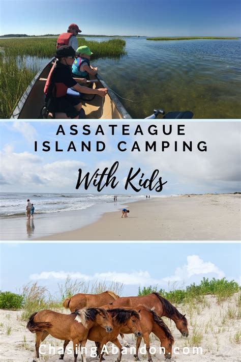 Assateague Island Camping Guide Chasing Abandon Assateague Island
