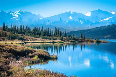 Denali National Park Alaska Wilderness Denali National Park Travel