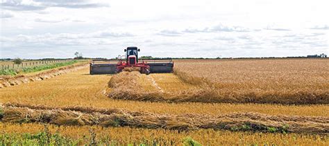 Swathing Stock Photos Pictures And Royalty Free Images Istock