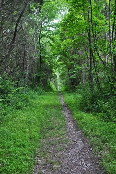 Maybe you would like to learn more about one of these? Southeastern PA Hiking: Nockamixon State Park - Mountain ...