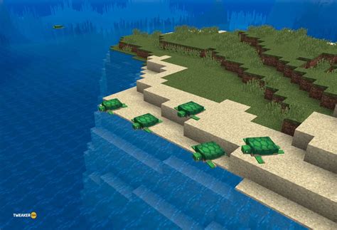 How Long Do Turtle Eggs Take To Hatch In Minecraft Java And Bedrock Complete Guide Tweakerzone