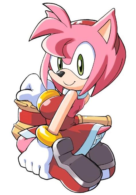 Amy Rose Sonic The Hedgehog Characters