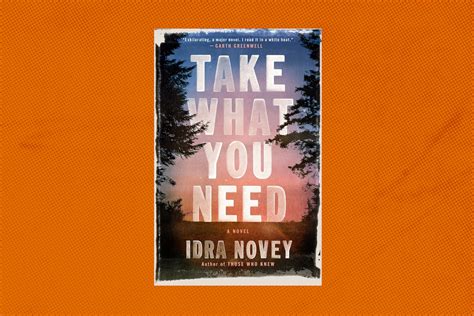 Take What You Need By Idra Novey Book Review The Washington Post