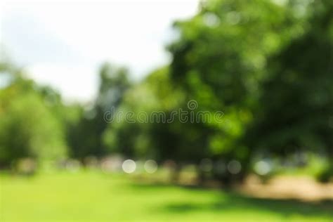 Descubrir 64 Imagen Blurred Park Background Thcshoanghoatham Badinh
