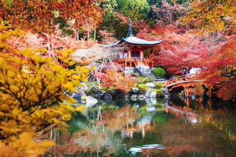 Kyoto Japan Paesaggio Autunnale Paesaggi Great Smoky Mountains