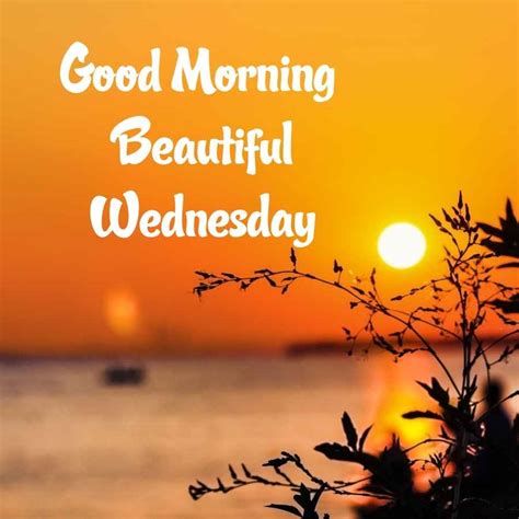 101 Good Morning Wednesday Images Happy Wednesday Images