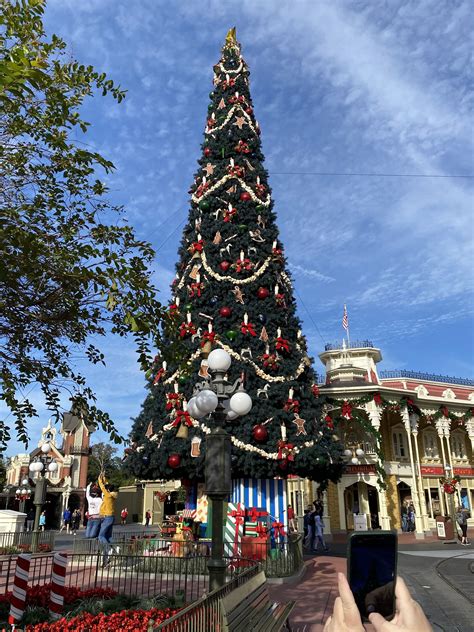 Christmas Trees At Walt Disney World Must Love Travel