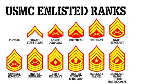 Large Usmc Enlisted Rank Chart 3 Color Vinyl Wall Decal Free Etsy