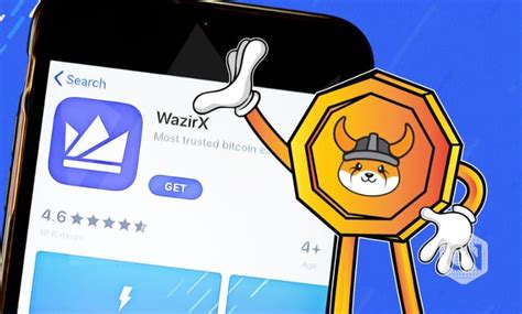 Wazirx Lists Floki For Trading On Indias Biggest Crypto Exchange