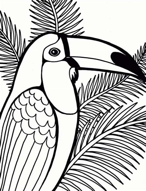 Parrot On Coconut Tree Coloring Page Download And Print Online Coloring