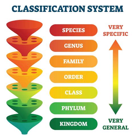 Classification Of Living Organisms