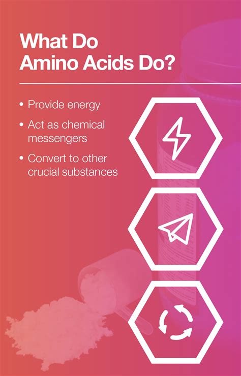 What Are Amino Acids The Amino Company