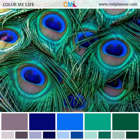 May 21, 2010 · i can get it to mix perfectly if i do that. Color Palette #072718 - Color My Life | Green color combinations, Blue colour palette, Peacock ...