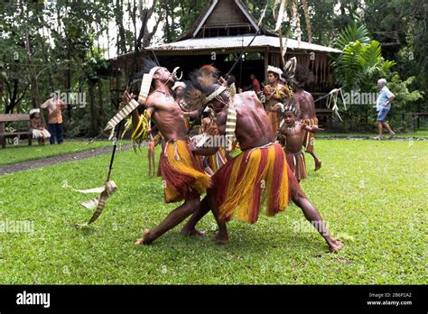 Dh War Dance Culture Dancing Alotau Papua New Guinea Traditional Png Village Native Dancers