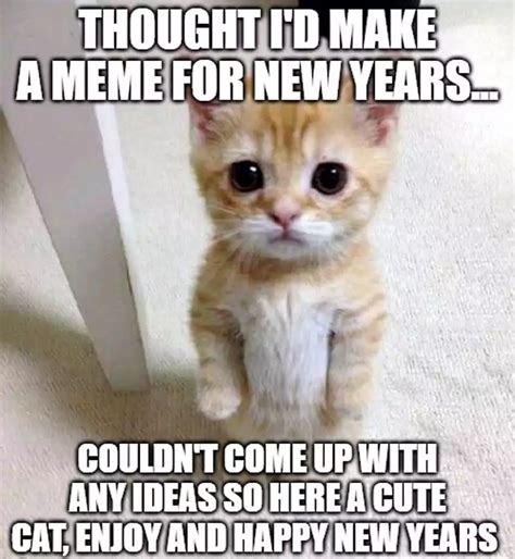 100 Happy New Year Cat Memes 2023 Quotesprojectcom