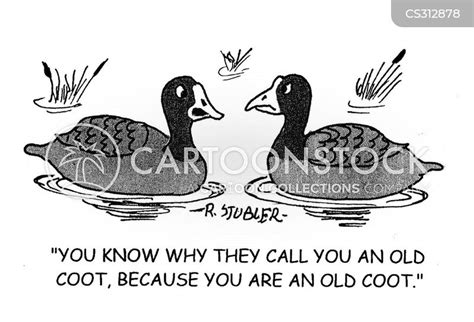 Coot Cartoons And Comics Funny Pictures From Cartoonstock