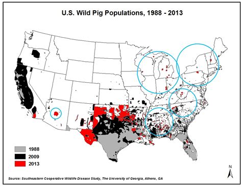 Wild Hog Population Map 2022 World Map