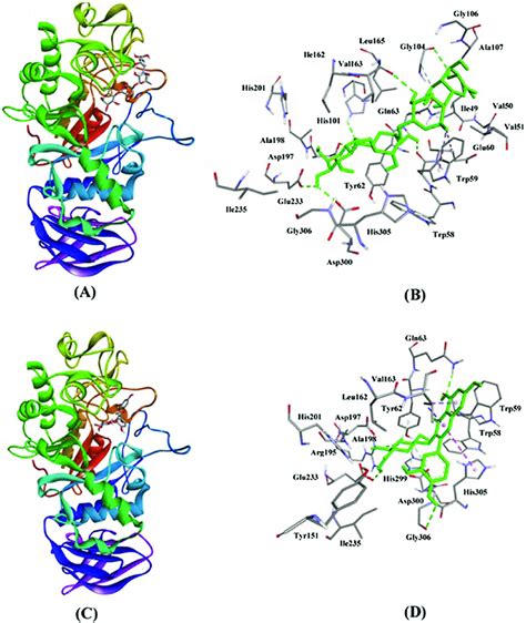Inhibition Of A Amylase Activity By Acarbose And Compound 1 A