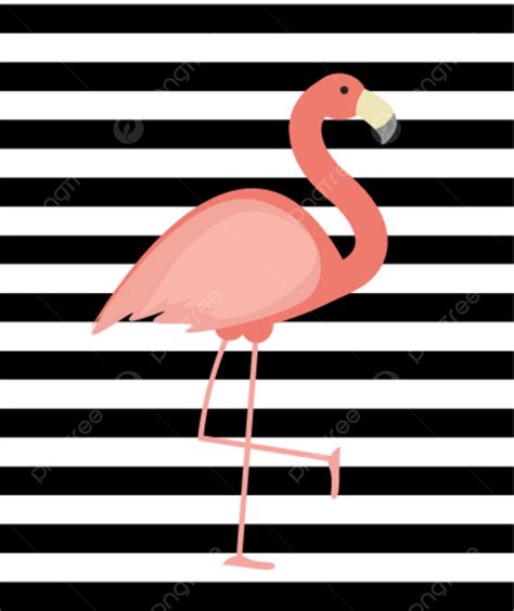 Cute Pink Flamingo Background Vector Illustration Eps10 Wallpaper Image