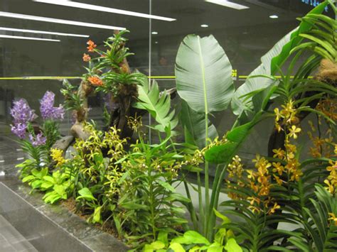 When working with small indoor spaces designers will explain the importance of elevating furniture off the floor to create the illusion of more floor space. Tropical Garden and Landscape: Indoor Tropical Garden