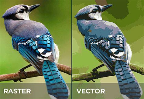 Raster vs Vector: Best Image Format for Printing | Blog | Square Signs