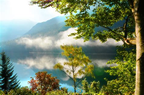 Forest Morning Trees Mountains Fog Autumn Reflection Wallpapers