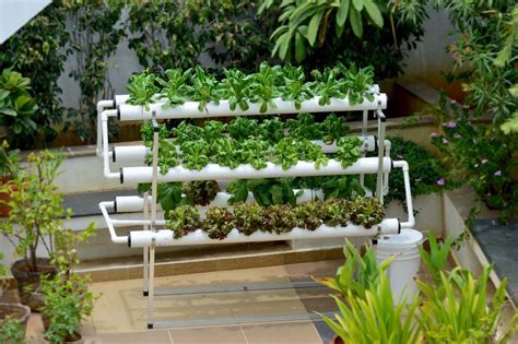 What Is Vertical Hydroponic Gardening