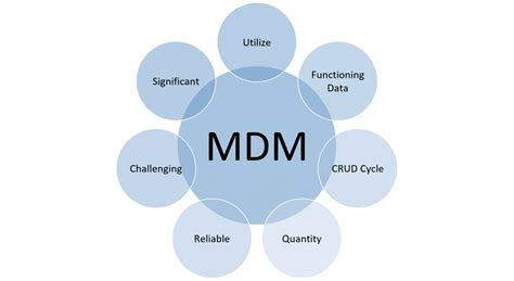 Master Data Management Platform Amurta