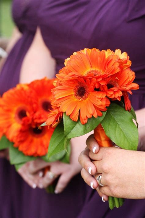 Use them in commercial designs under lifetime, perpetual & worldwide rights. Orange or mixed gerbera daisies * I am leaning towards a ...