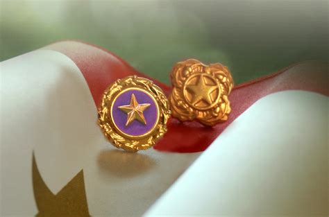 Gold Star Pins Available For Military Families