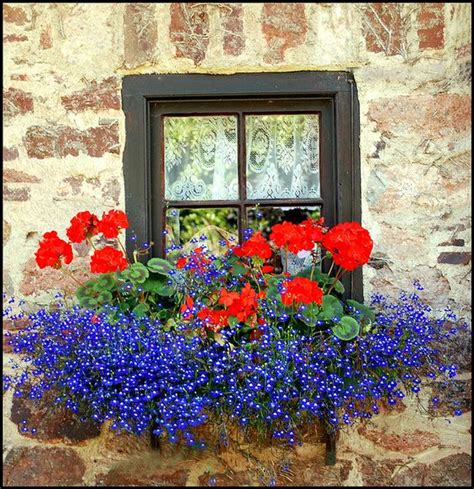 8 Beautiful Window Box Planter Ideas