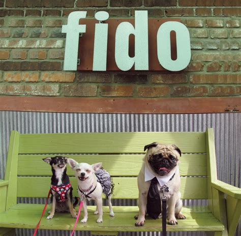 Need a pet friendly hotel in nashville, tn? Pet-Friendly Restaurants in Nashville #Nashville # ...