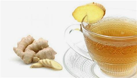 A pesar de que se puede encontrar de distintas formas como seco, confitado, cristalizado y en vinagre, la mejor opción para cocinar es la raíz fresca ya que. Cómo hacer conserva de jengibre - Lifehacks de Luisa Olvera