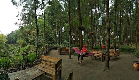 Keep the area clean, never leave rubbish along the hiking trail. Wisata Ke Hutan Pinus Malang, Sejuk dan Asri