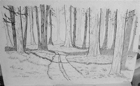 A Forest Drawing Based On A Mark Crilley Tutorial Forest Drawing