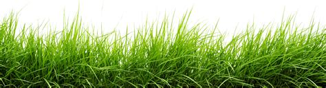 14 Vector Grass Background Png