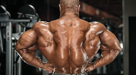 5 Key Back Exercises From Olympia Winning Bodybuilders Muscle And Fitness