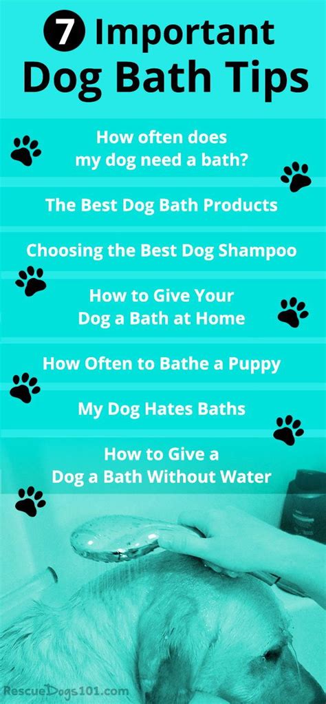 7 Important Dog Bathing Tips Dog Care Tips Dog Grooming Tips Dog Bath