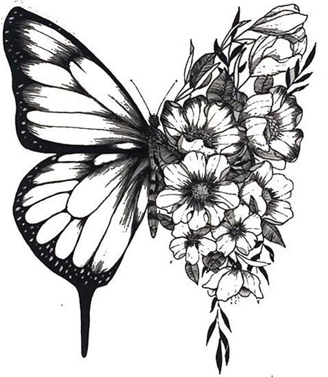Póster Shawn Mendes Butterfly Tattoo De Bealean Tattoo Posters