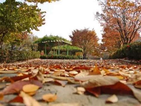 This video is currently unavailable. Autumn in My Heart ost.Endless Love Korean Drama - YouTube