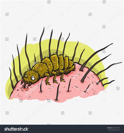 856 Biting Lice Images Stock Photos And Vectors Shutterstock