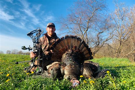 5 Get It Done Tips For Bowhunting Turkeys Petersen S Bowhunting