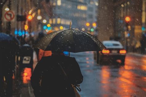 Person Walking On Street And Holding Umbrella While Raining With