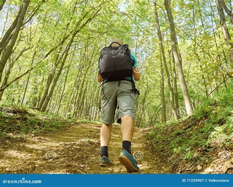 A Man Walk Uphill The Forest Trail Stock Image Image Of Attractive