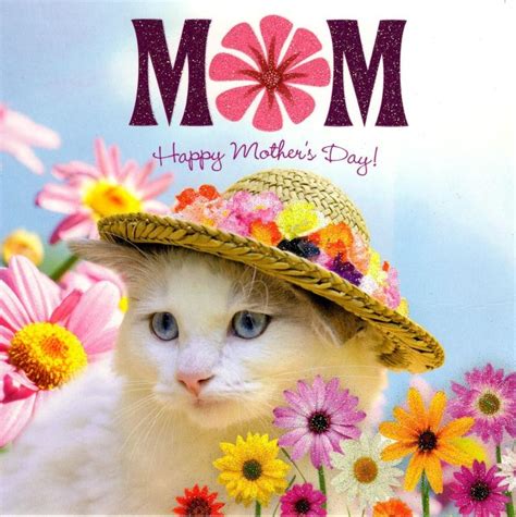 Mum Cat Happy Mothers Day Flittered Card Cards Love Kates