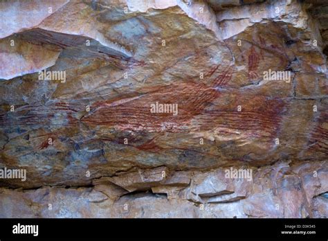 Ancient Aboriginal Rock Art Nitmiluk Np Northern Territory Australia