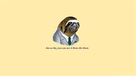 Funny Sloth Face Meme Hd Wallpapers Desktop Background