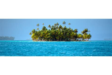Island Paradise — Debock Fine Art