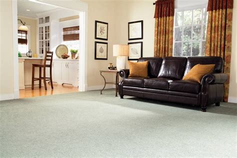 In 1988 the industry saw a major change with the introduction of du pont's stainmaster carpeting, which allowed it to gain a. STAINMASTER® at Lowe's: Carpet & Carpet Pads | Carpet ...